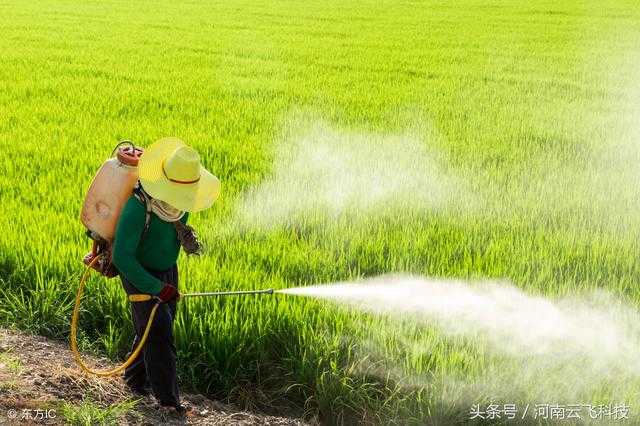 Solar insecticidal lamps and pesticides against each other, who is better?