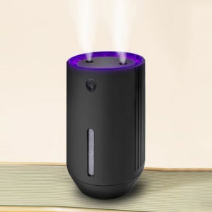 Colorful Lights Dual Spray Humidifier